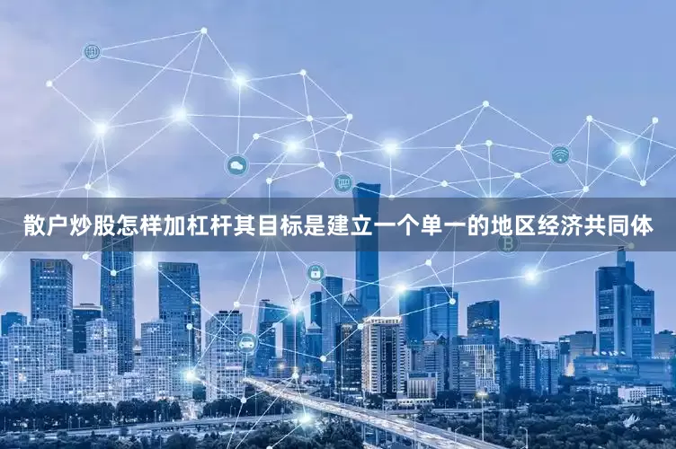 散户炒股怎样加杠杆其目标是建立一个单一的地区经济共同体