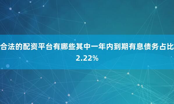 合法的配资平台有哪些其中一年内到期有息债务占比2.22%