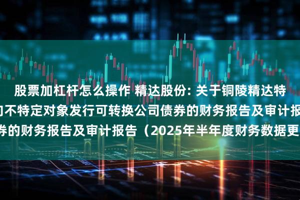 股票加杠杆怎么操作 精达股份: 关于铜陵精达特种电磁线股份有限公司向不特定对象发行可转换公司债券的财务报告及审计报告（2025年半年度财务数据更新）
